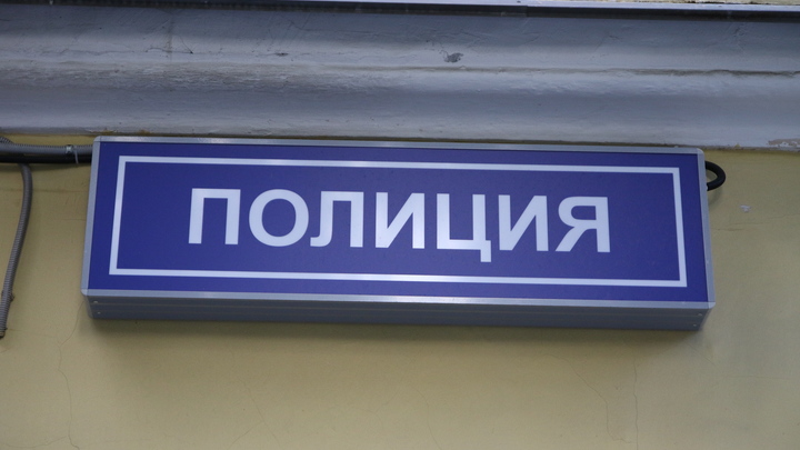 Срубивших деревья в центре Жуковского задержали