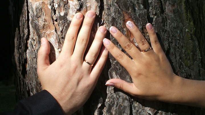 Какой сегодня праздник – на календаре 8 июля