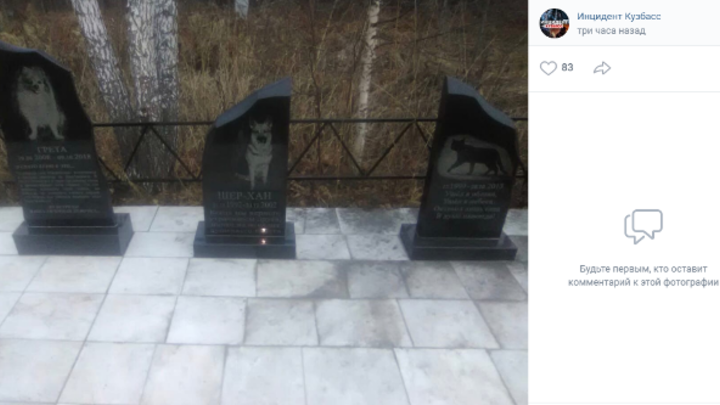 В Кемерове через кладбище домашних животных хотят проложить водопровод