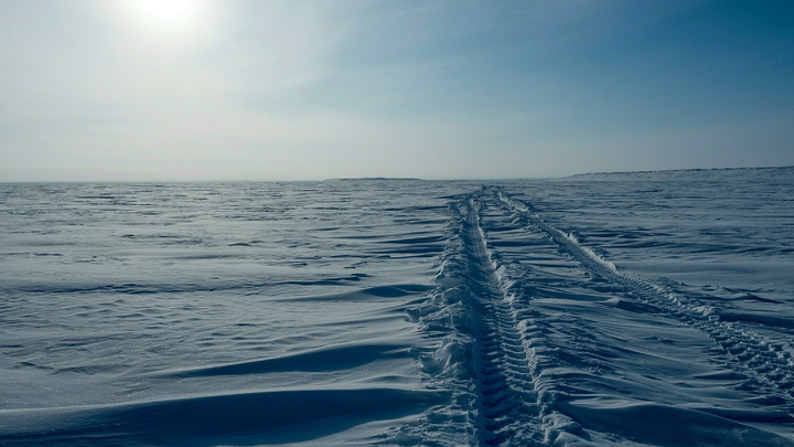 В тающих льдах пробуждаются опасные вирусы, способные навредить людям. Россия предлагает выход