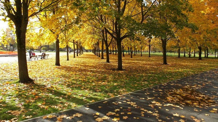 Метеоролог назвал последнюю тёплую дату 2021-го в Центральной России