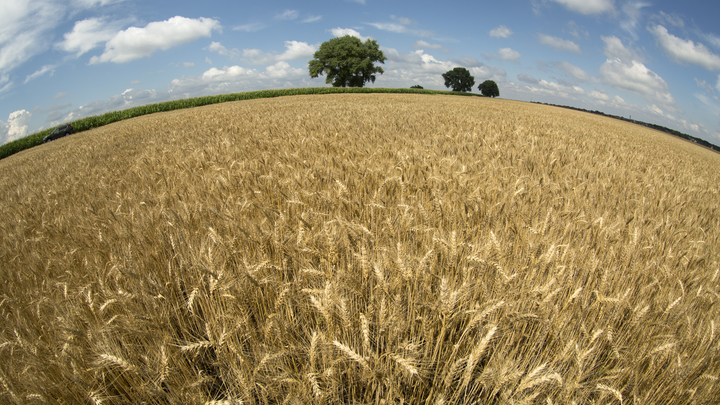 Украинские военные ударили по зерновым складам в Запорожье