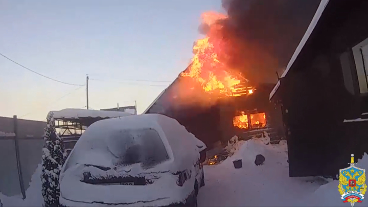 В Чехове полицейские спасли куриц на пожаре