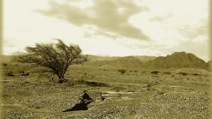 Посольство в Израиле опубликовало обновлённые данные о погибших и пропавших гражданах России