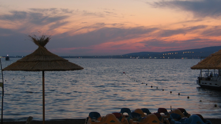 Политолог закричал, говоря о дворце Путина, и упомянул самку собаки: Последний раз спрашиваю