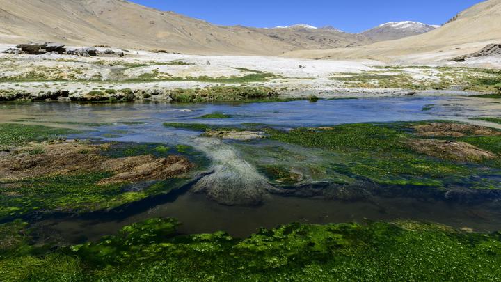 Загадочная смерть двух граждан России в Индии: Осталась только записка