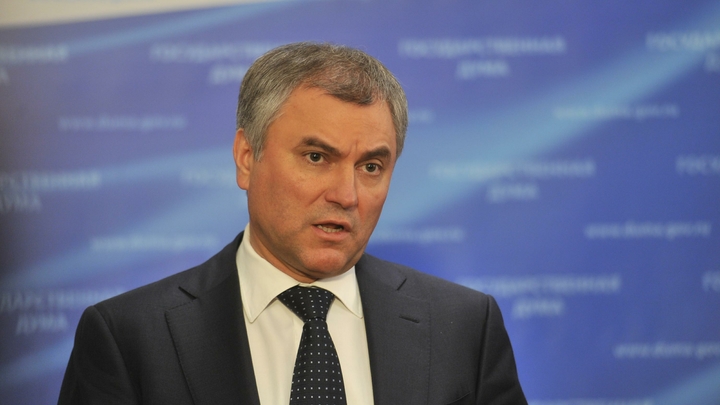 НАТО несостоятельно, и это трижды доказала Украина – Володин