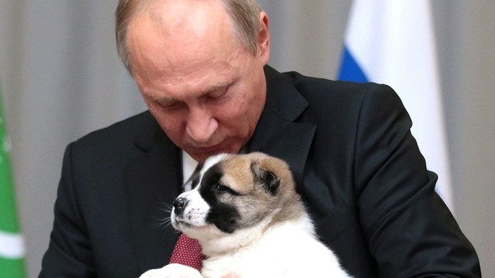 Британец раскрыл японцам тёмную сторону Путина. Но что-то пошло не так: Он не волшебник, но...