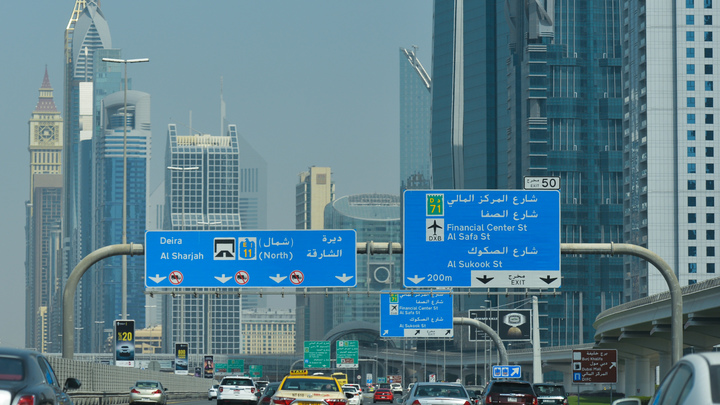 Бывшую омскую чиновницу сдали Интерполу