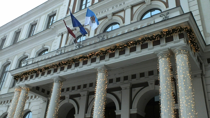 Официальных рижских котов выгнали из Думы: Ничего личного, просто политика