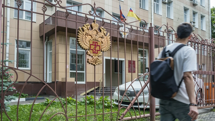 Клещи покусали почти 10 тысяч человек в Подмосковье