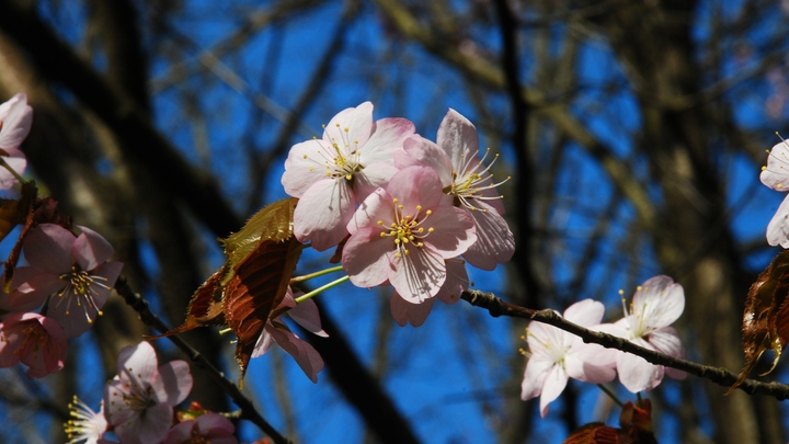 Погода в Архангельске на 21 мая: главное