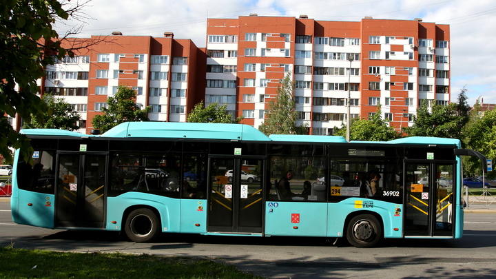 В Новосибирске кондуктор высадила девочку, которой стало плохо в автобусе