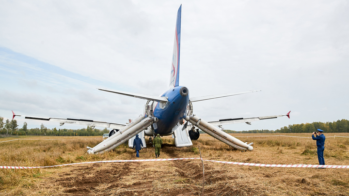 МК получил сенсационную расшифровку чёрных ящиков севшего в поле Airbus A320