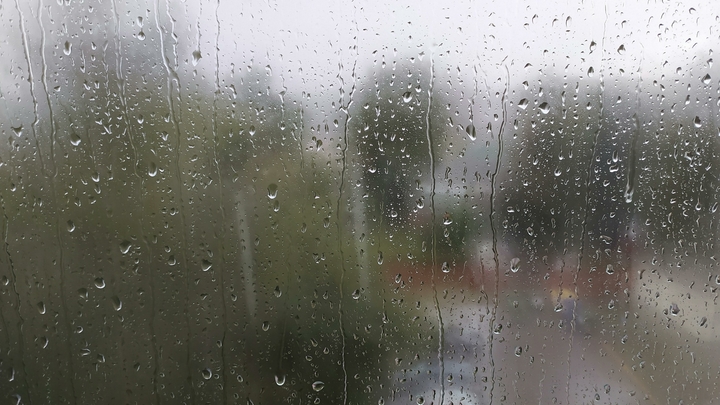 Грузия закрыла границу с Россией. Потому что дожди