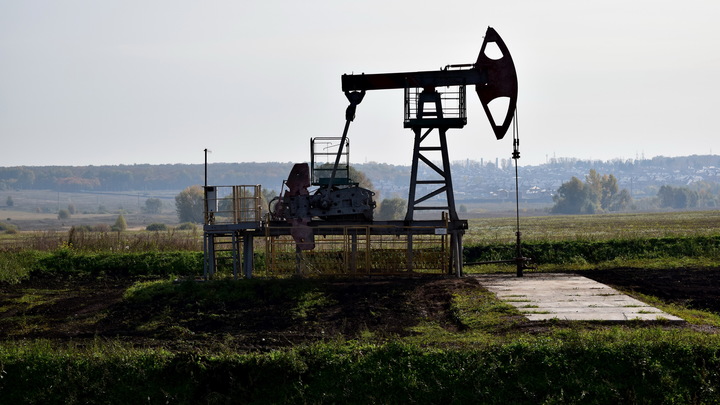 Нефтяная лошадь ещё не сдохла, но…: Чубайс призвал активнее перестраивать российскую экономику