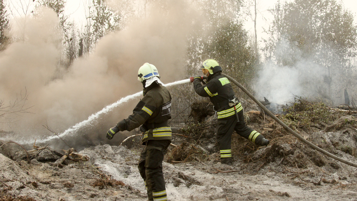 В Казахстане площадь лесного пожара выросла вдвое: Смаилов назвал его реальной угрозой