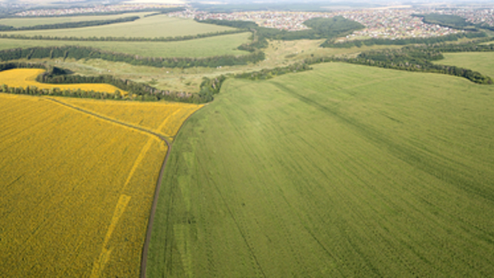 Во Владимирской области 14 гектаров сельхозземель заражены кишечной палочкой и энтерококками
