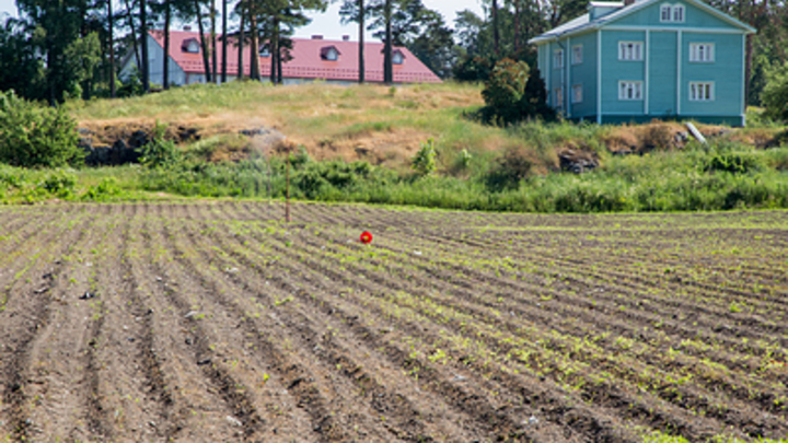 Подмосковье хочет стать лидером в России по производству овощей