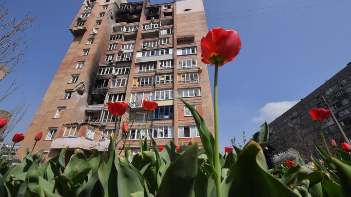 Подмосковье восстанавливает школу в Мариуполе