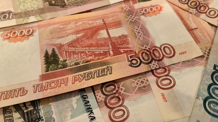 Телефонные мошенники похитили полмиллиона рублей у беременной жительницы Новосибирской области