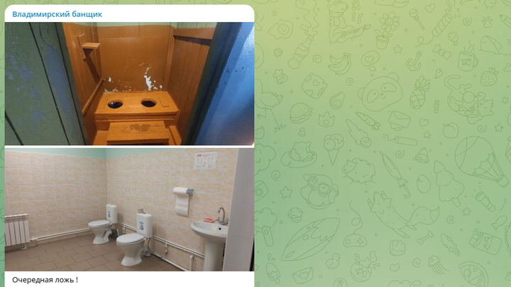 Информацию о позорном туалете в школе Гусь-Хрустального района опровергли еще более позорным фото