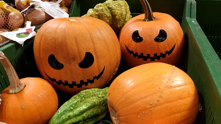 Больше сотни жертв за выходные: массовые перестрелки омрачили Хэллоуин в США