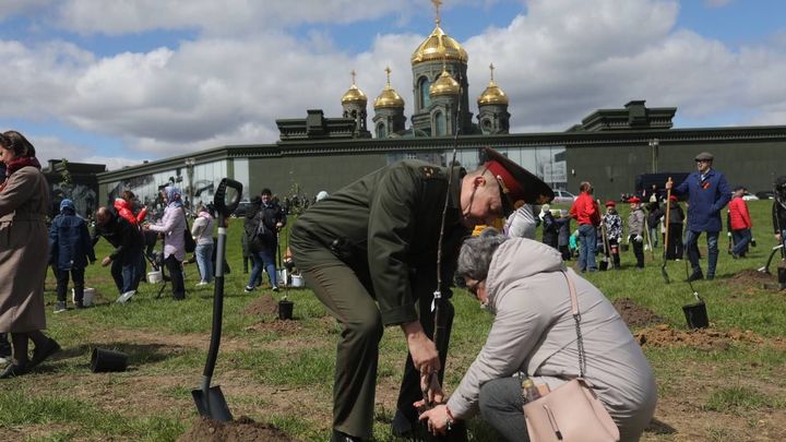 Сад Победы заложили в Одинцовском округе