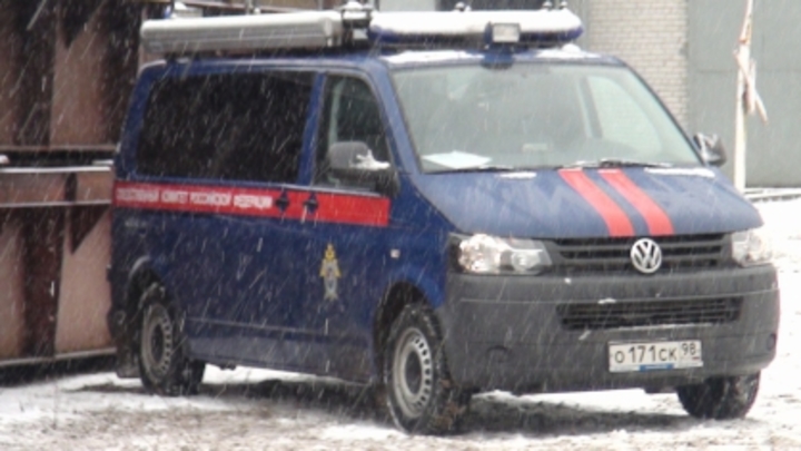 Трехлетняя девочка в Ленобласти выпила растворителя и попала в больницу