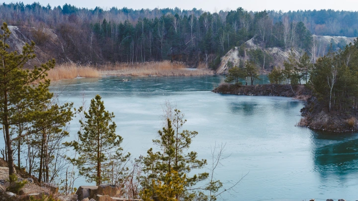 SMS-оповещения и снижение скорости интернета: В Ленобласти скорректируют меры безопасности