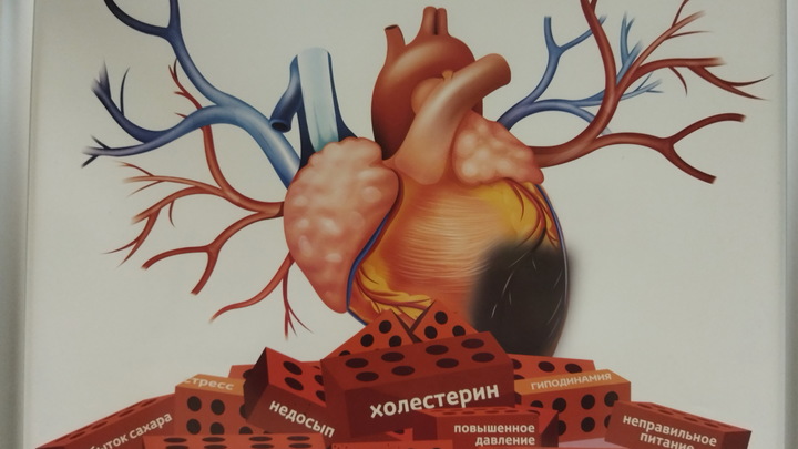 Кардиолог Кореневич назвала три привычки, из-за которых сосуды изнашиваются как после алкоголя
