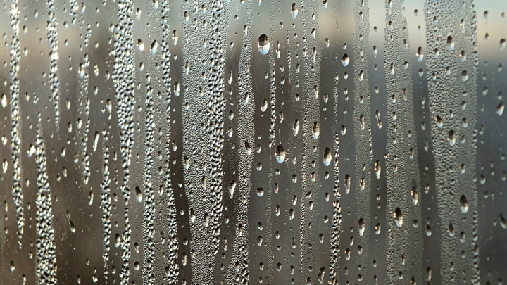 Погода в Краснодарском крае на 14-16 декабря: На Черноморском побережье усилится ветер