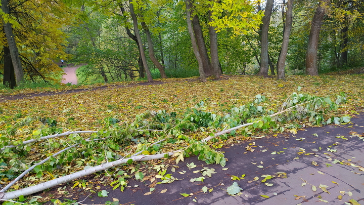 Скорость ветра достигнет 64 километров в час: на Самарскую область идет сильный шторм
