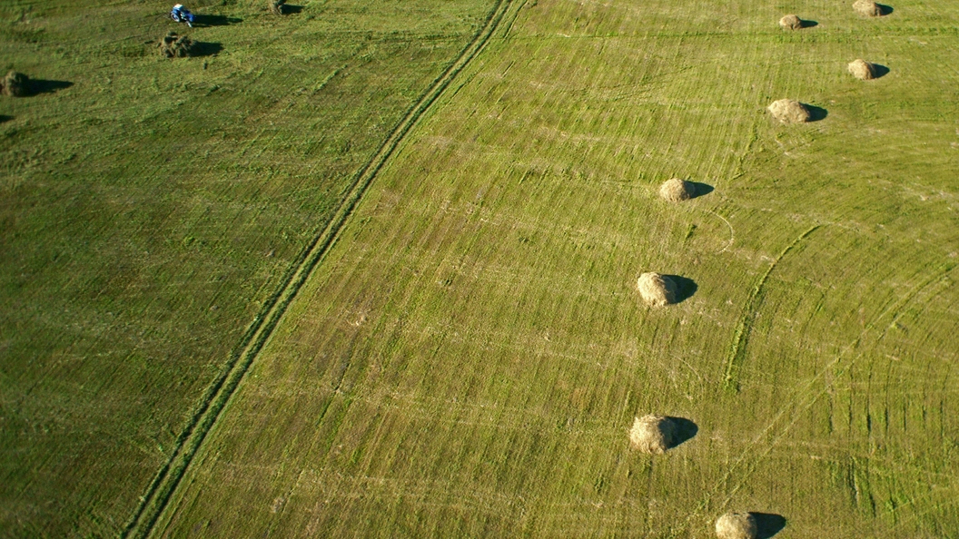 джуди пирс ландшафтный дизайнер. огарево поле фермерское хозяйство. дом хьюитов штат техас. частные угодья.