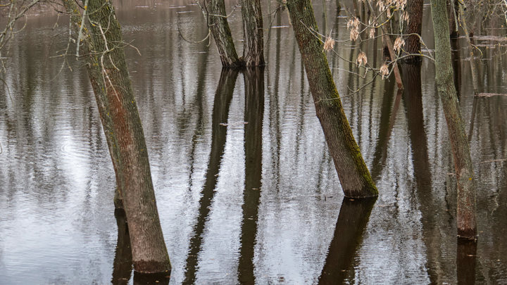Лодка с украинскими пограничниками пошла ко дну во время патрулирования Днепра