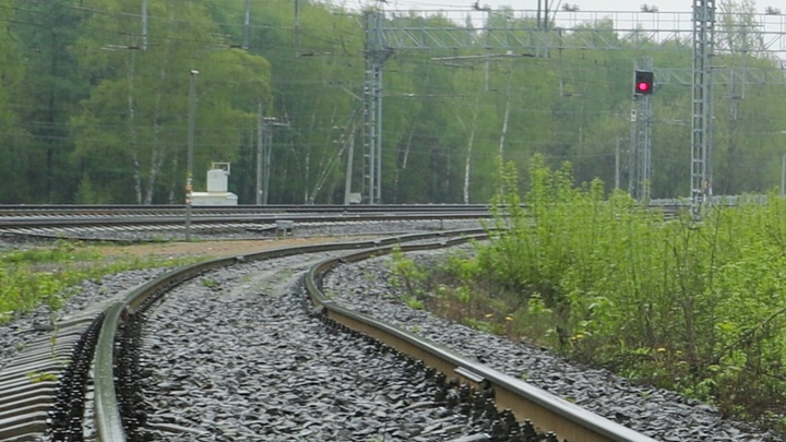 Рельсовые диверсии: В Брянской области разыскивают минёров