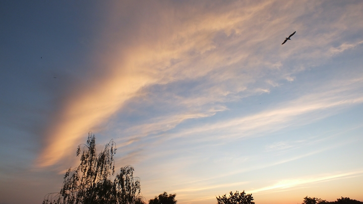 Синоптики рассказали, надолго ли потеплеет в Свердловской области