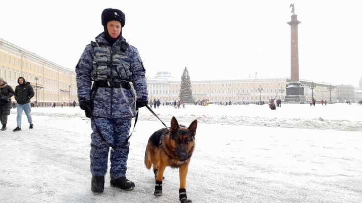 Русские правоохранители предотвратили теракт на Запорожье