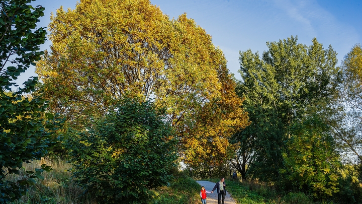 Синоптики пообещали Свердловской области тёплые выходные
