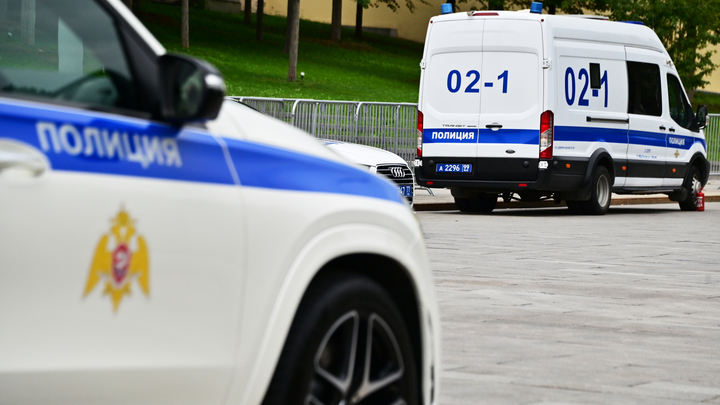 В Москве няня обчистила дом хозяйки на 3 млн рублей