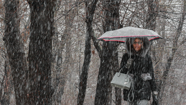 Синоптики рассказали, когда в Свердловской области пройдут снегопады