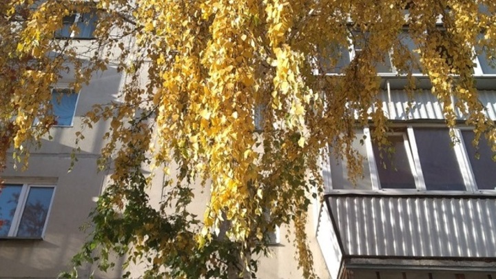 Погода в Ростове-на-Дону на 5 декабря 2022 года: в городе ждут падения температуры до - 18 градусов