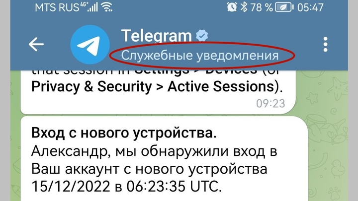 Профессор Терелянский: мошенники начали взламывать Телеграм через служебные сообщения