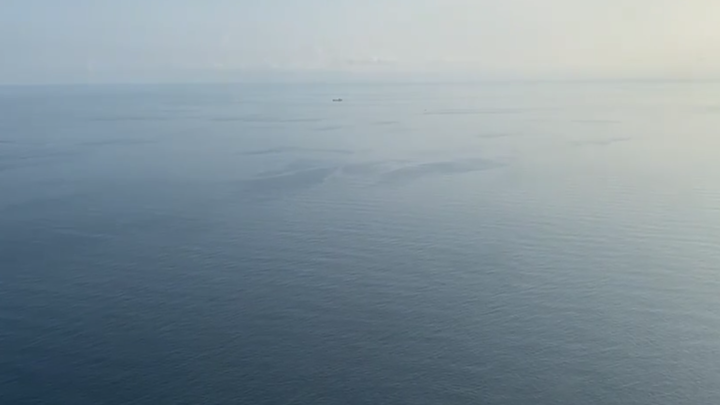 Я не я, и нефть не моя: КТК заявляет, что пятно в Черном море появилось не от разлива нефти