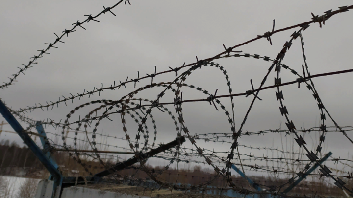 Удивительный вопрос от заключённых из выгоревшей деревни. Половина подняла руки - омбудсмен