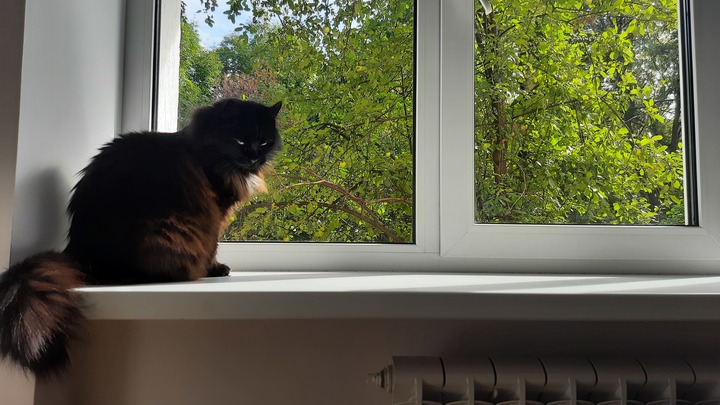 Отопление и горячую воду на время отключат на улице Берёзовской в Нижнем Новгороде 13 октября