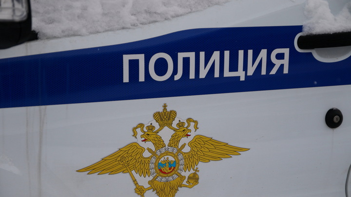 Подложные госномера на машине не спасли: в Петербурге судят мигрантов, ограбивших автомойку