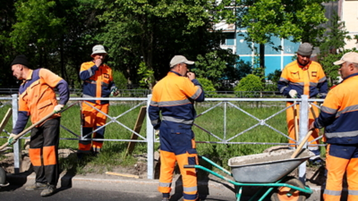 Озверевших мигрантов не остановил даже выстрел полицейского: Дети кричали, мужиков били ногами