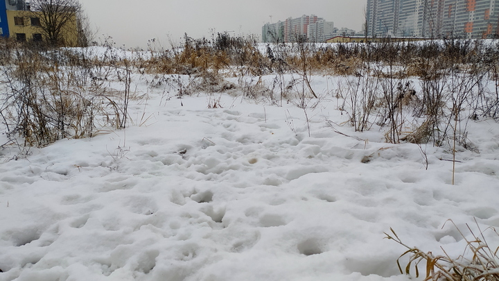 В Кунгуре насмерть замерзла учительница физкультуры