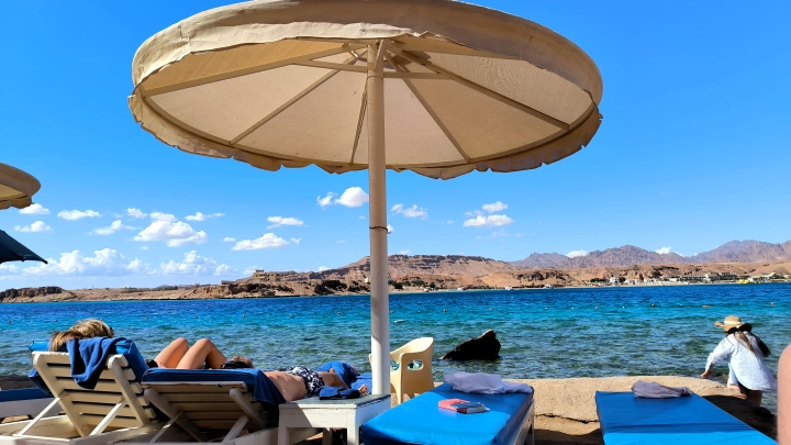 Оторвала вместе с купальником: Туристка из России рассказала о жутком нападении. Спасло чудо